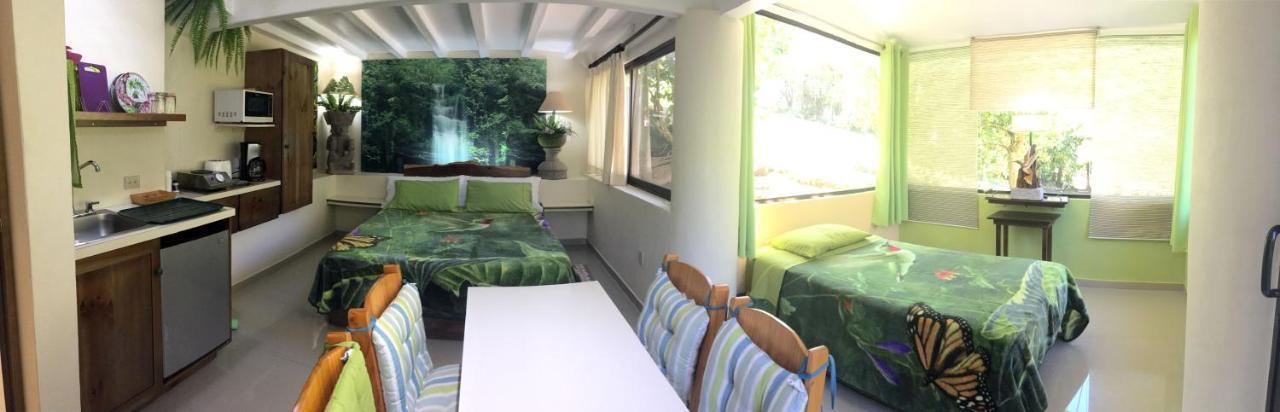 Paris Confort B&B Монте-Верде Экстерьер фото